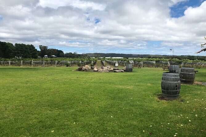Full-Day Private Wine Tour of the Stanthorpe Area with Lunch - FAQ - Your Practical Questions Answered