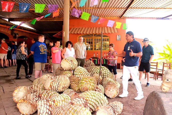 Full-Day Puerto Vallarta City Highlights Tour - Practical Tips for Travelers