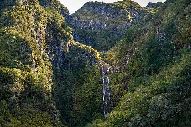 Full-Day Rabaçal Levada Walk from Funchal - Introduction: What to Expect from the Rabaçal Levada Walk