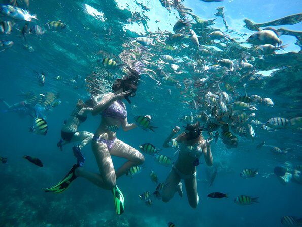 Full-Day Racha Noi and Racha Yai Snorkeling from Phuket - A Detailed Look at the Tour