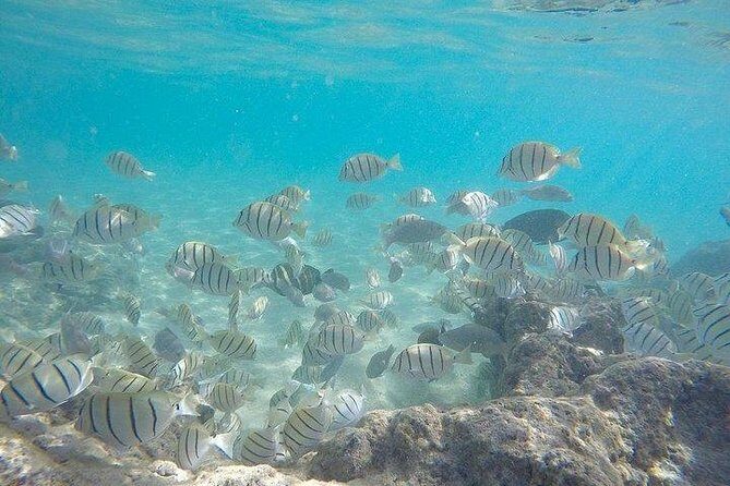 Full-Day Racha Noi and Racha Yai Snorkeling from Phuket - Final Words