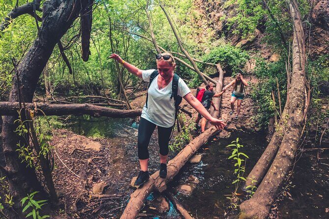 Full Day Rainforest Tour with Tasting and Swimming Time - A Day in Gran Canaria’s Secret Green Heart