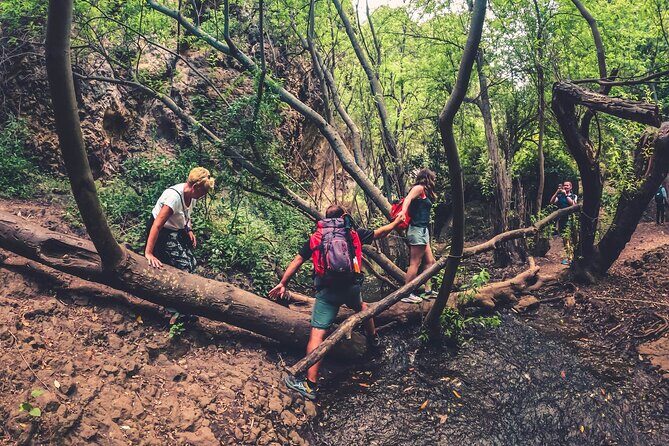 Full Day Rainforest Tour with Tasting and Swimming Time - Frequently Asked Questions