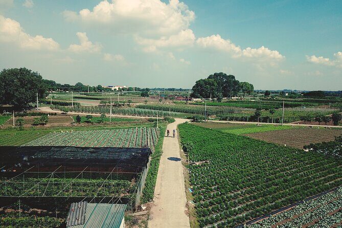 Full-Day Red River Bike Tour from Hanoi with Lunch and Pickup - Authentic Experiences You’ll Treasure