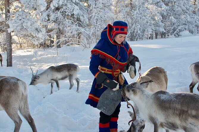 Full-Day Reindeer Tour with Pickup in Kiruna - What to Expect from the Reindeer Herder Tour