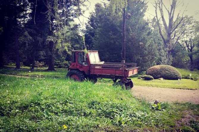 Full day rent car with driver service around Armenia (8-10 hrs) - The Itinerary: Customizable and Wide-Ranging