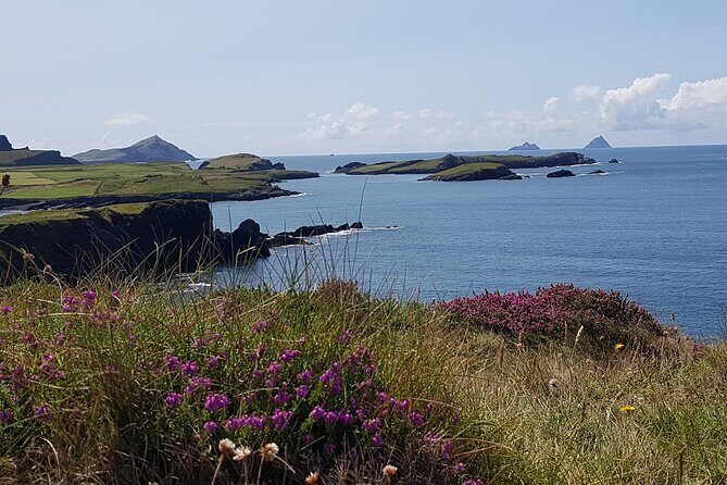 Full-Day Ring of Kerry Tour from Killarney - Authentic Insights from Travelers