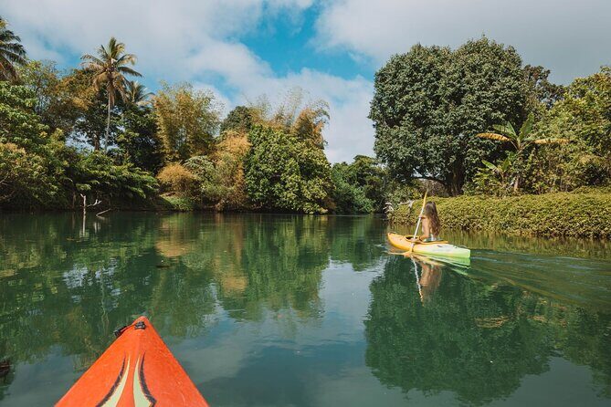 Full Day River Kayaking & Cascades from Port Vila - Why This Tour Stands Out