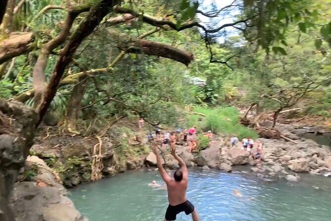 Full-Day Road to Hana and Waterfall Tour - FAQ