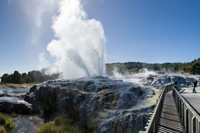 FULL DAY ROTORUA TOUR - Fully Customisable 13 hours Unlimited KMS - Introduction