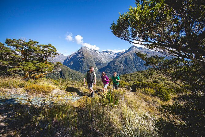 Full-Day Routeburn Track Key Summit Guided Walk from Te Anau - Key Points