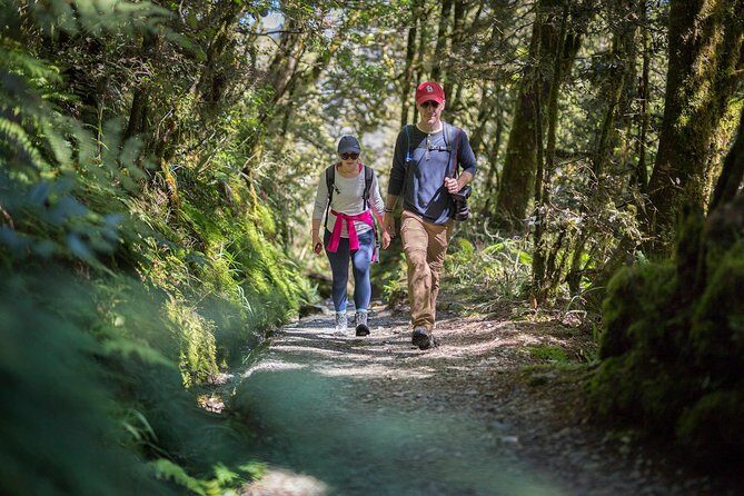 Full-Day Routeburn Track Key Summit Guided Walk from Te Anau - The Value of This Tour