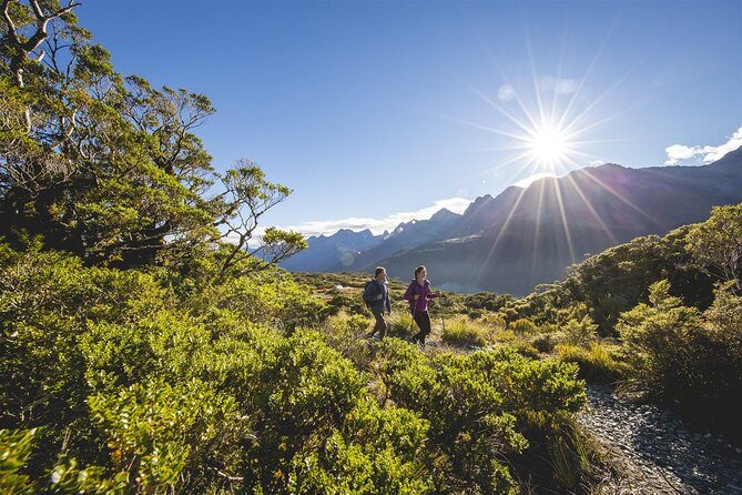 Full-Day Routeburn Track Key Summit Guided Walk from Te Anau - FAQ