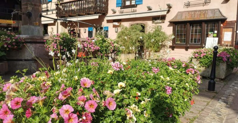 Full Day Safari Tour Villages & Vineyards Wine tasting - Discover the Charm of Alsace: Full Day Safari Tour of Villages & Vineyards with Wine Tasting