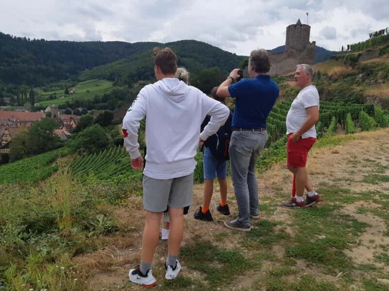 Full Day Safari Tour Villages & Vineyards Wine tasting - Who Is This Tour Best For?