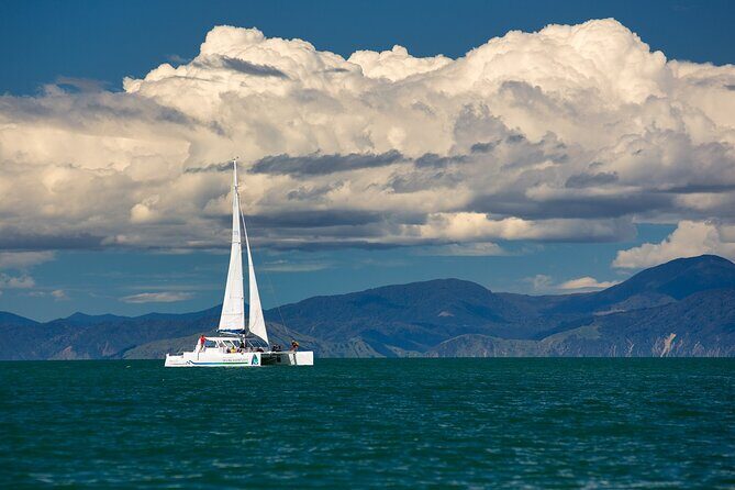 Full-Day Sailing Adventure in the Abel Tasman National Park - FAQs