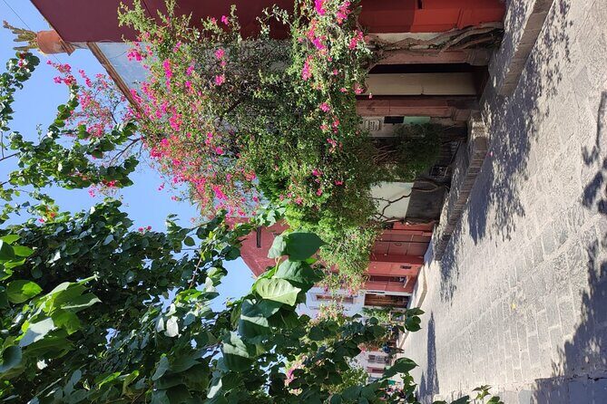 Full Day: San Miguel de Allende - FAQ