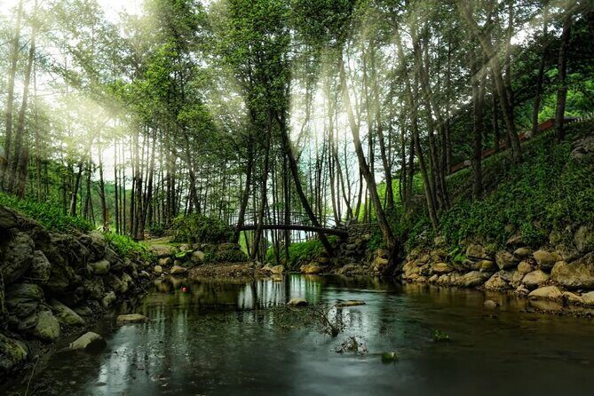 Full Day Sapanca and Masukiye Tour with lunch - Exploring the Full Day Sapanca and Masukiye Tour with Lunch