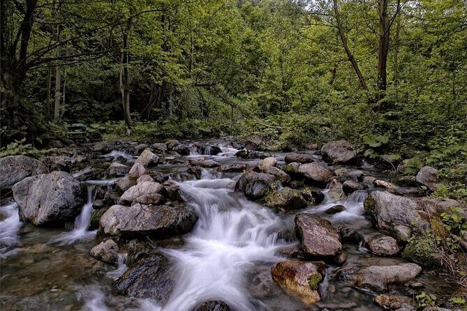 Full Day Sapanca and Masukiye Tour with lunch - Authentic Insights from Travelers