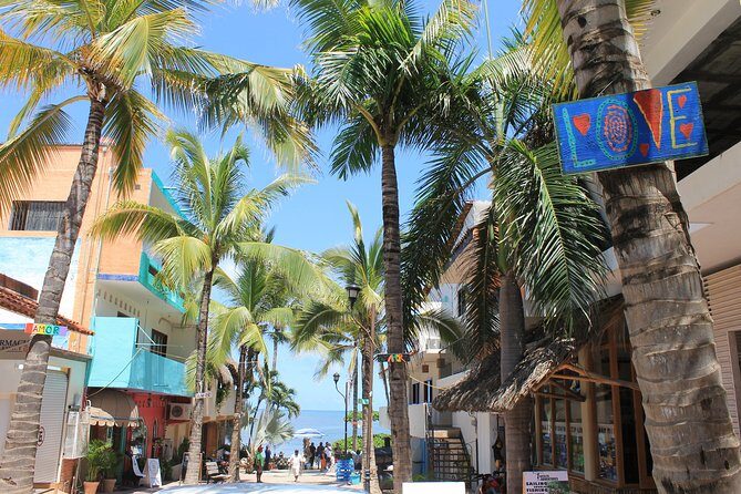 Full-Day Sayulita and San Pancho from Puerto Vallarta - An In-Depth Look at the Tour Experience