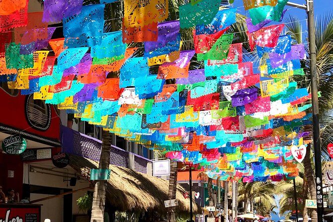 Full-Day Sayulita and San Pancho from Puerto Vallarta - FAQ Section