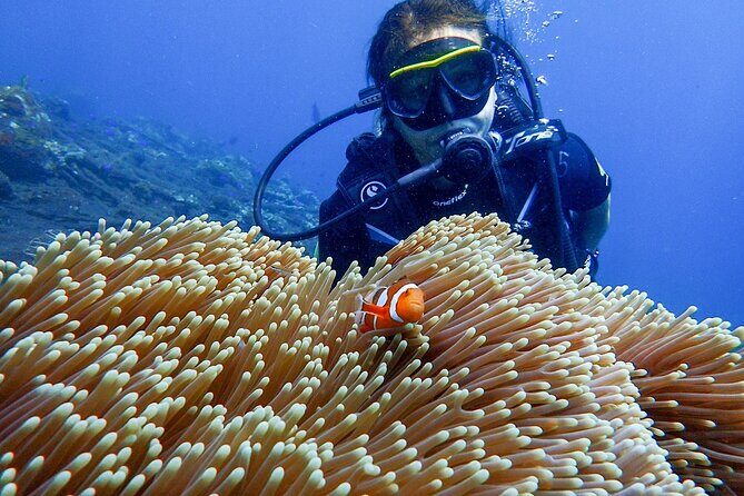 Full-Day Scuba Diving Experience of USAT Liberty in Tulamben - Key Points