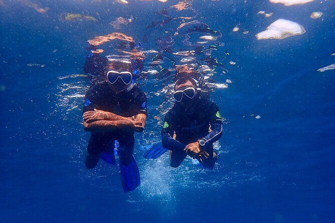 Full-Day Scuba Diving Experience of USAT Liberty in Tulamben - What’s Included & What to Consider
