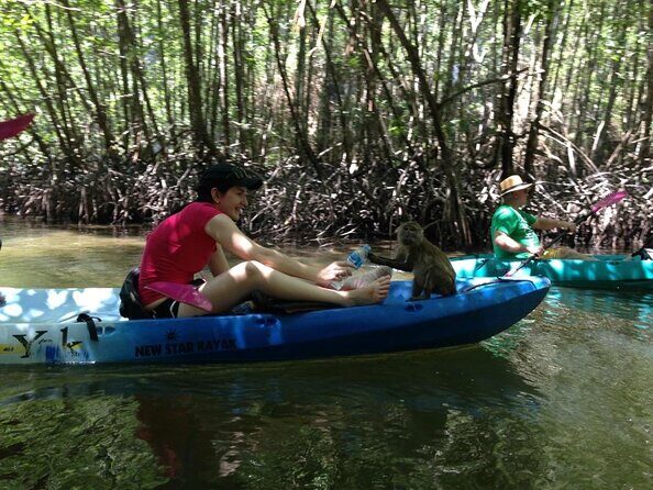 Full-Day Sea Kayaking Adventure in Ao Thalane Bay from Krabi - Introduction to the Tour Experience