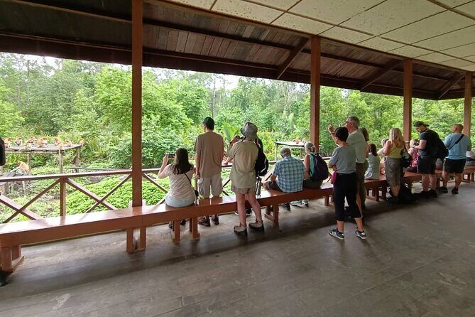 Full-Day Sepilok Orangutan and Sandakan City Trail from Kota Kinabalu - Who Should Consider This Tour?