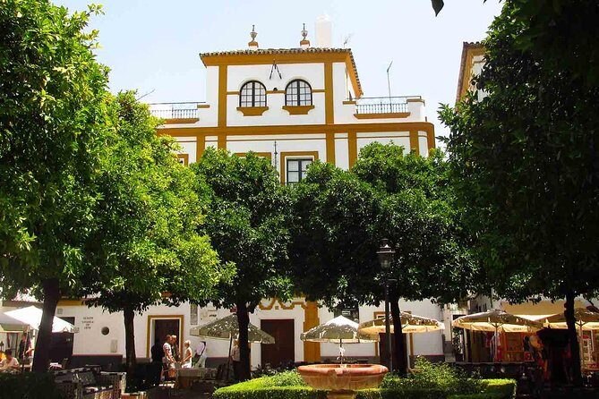 Full Day Seville Tour with tickets (optional Tapas & Flamenco) - Who Will Love This Tour?