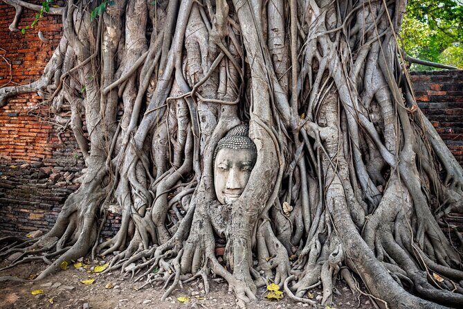 Full Day Shared Ayutthaya and Bang Pa-In Palace Tour - The Sum Up