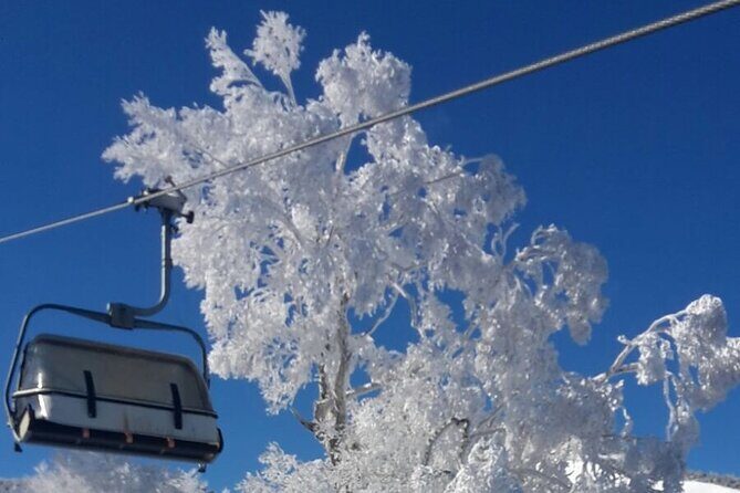 Full Day Ski Lesson (6 hours) in Yuzawa, Japan - Who Is This Tour Best Suited For?