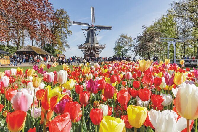 Full-Day Skip the Line Keukenhof and Canal Cruise from Amsterdam - The Itinerary: What to Expect