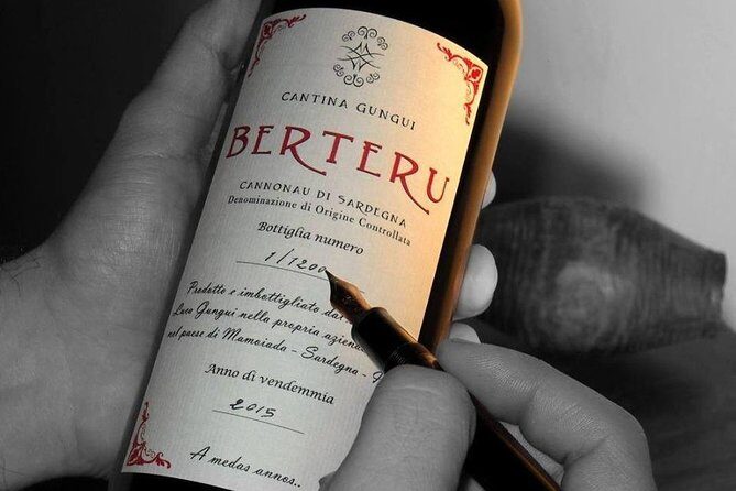 Full Day-Small group: Barbagia Experience: Mamoiada and Orgosolo from Cagliari - Who Should Consider This Tour?