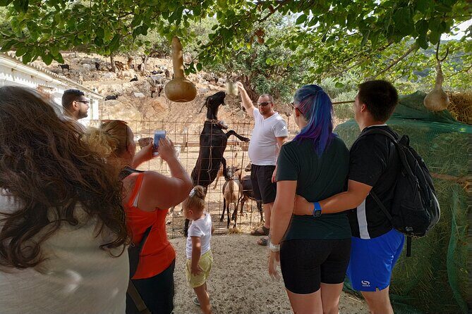 Full-Day Small-Group Tour in Crete & the cave of Zeus - Transport & Group Size