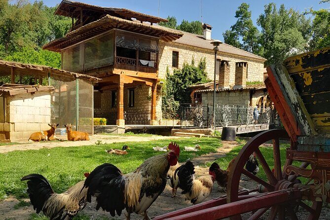 Full-Day Small-Group Tour of Bulgaria by Minivan with Lunch - The Overall Value