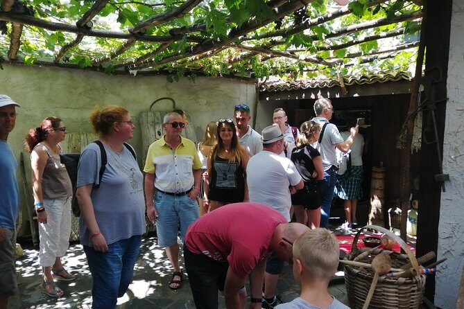Full-Day Small-Group Tour of Bulgaria by Minivan with Lunch - Who Should Take This Tour?