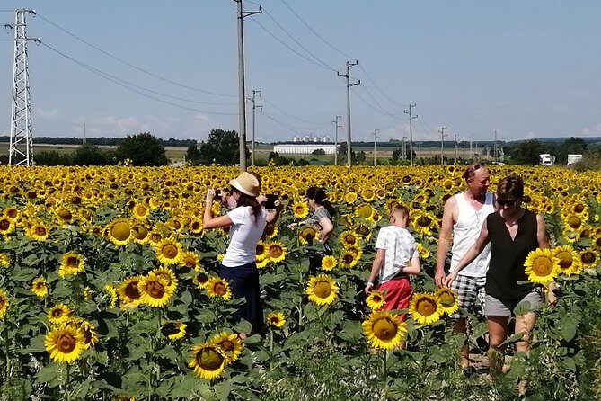 Full-Day Small-Group Tour of Bulgaria by Minivan with Lunch - FAQs
