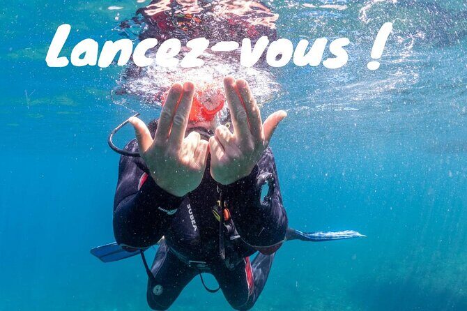 Full-Day Snorkeling and Guided Dive in the Calanques National Park from Marseille - Key Points