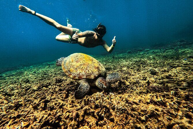 Full Day Snorkeling in Perhentian Island - Key Points