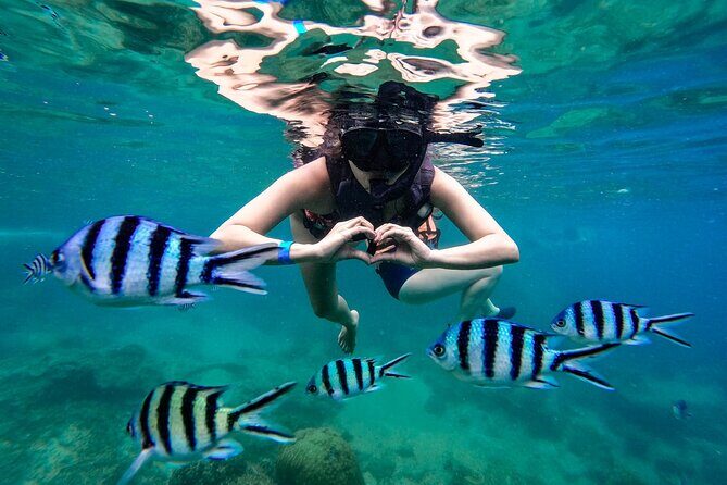 Full Day Snorkeling in Perhentian Island - Who Is This Tour Best For?