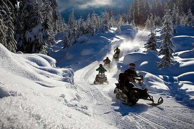 Full Day Snowmobile Safari - The Experience in Detail