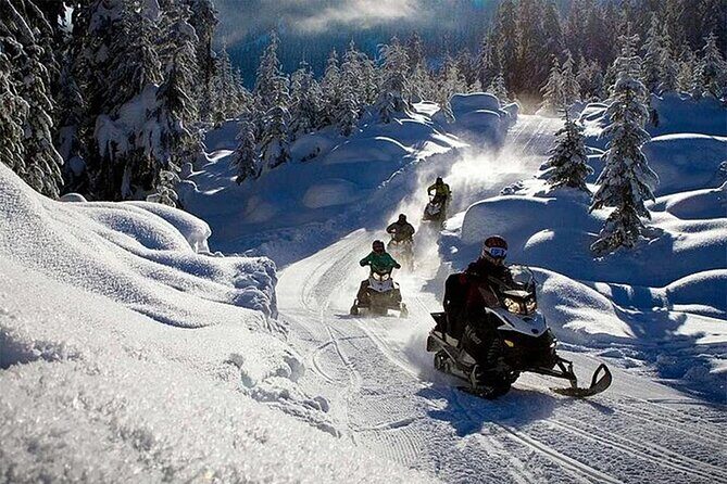 Full Day Snowmobile Safari - Who Is This Tour Best For?