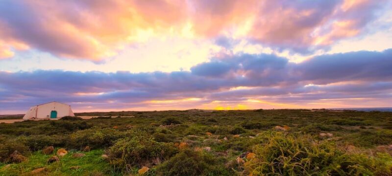 Full-Day Southwest Jeep Safari with Lunch included - Who Should Take This Tour