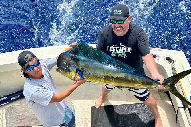 Full Day Sport Fishing Charter Honolulu - Key Points
