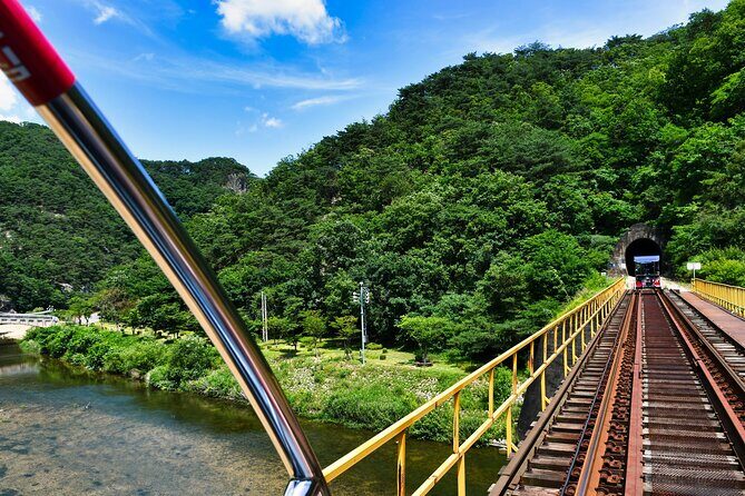 Full Day Strawberry Picking and Rail Bike in Nami Island - Key Points