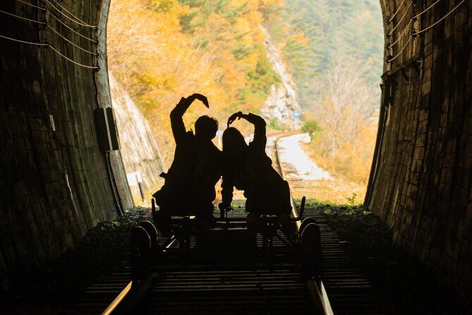 Full Day Strawberry Picking and Rail Bike in Nami Island - Who Would Love This Tour?