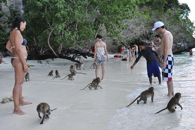 Full Day & Sunset Phi Phi Islands Tour From Phi Phi by Speedboat - Who Is This Tour Best For?