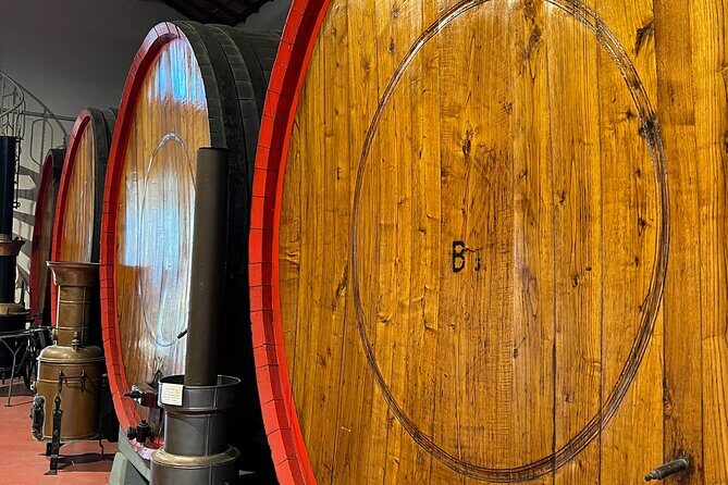 Full Day Super Cars, Parmesan, Balsamic Tour w/Light Lunch - In-Depth Review of the Tour Experience