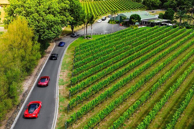 Full-Day Supercar Drive Experience from Auckland (lunch included) - Final Thoughts